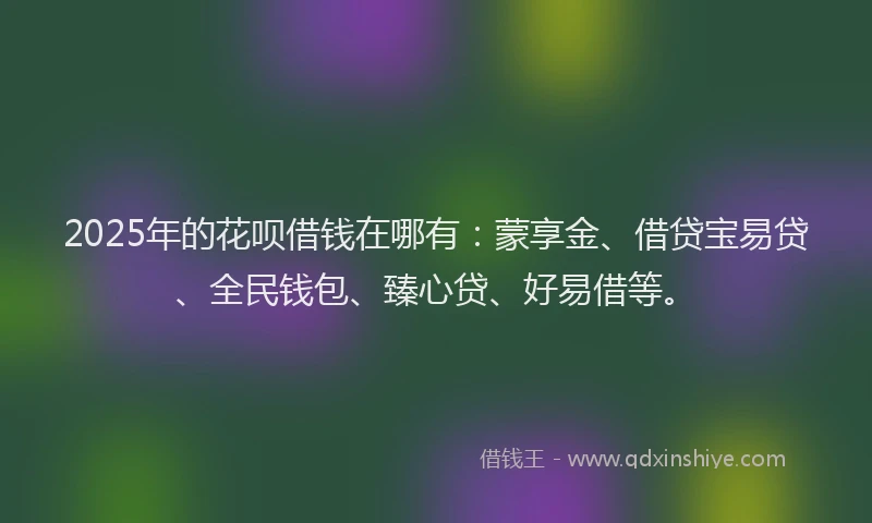 2025年的花呗借钱在哪有：蒙享金、借贷宝易贷、全民钱包、臻心贷、好易借等。