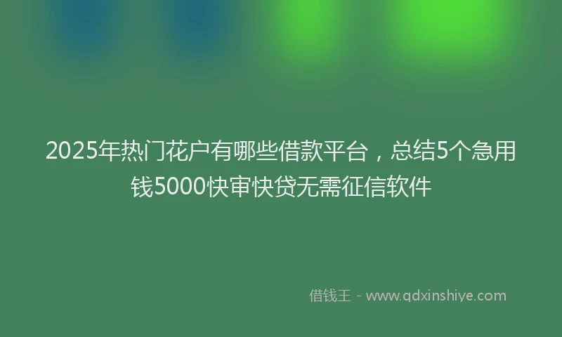 2025年热门花户有哪些借款平台，总结5个急用钱5000快审快贷无需征信软件