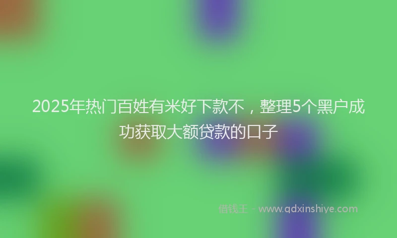 2025年热门百姓有米好下款不，整理5个黑户成功获取大额贷款的口子
