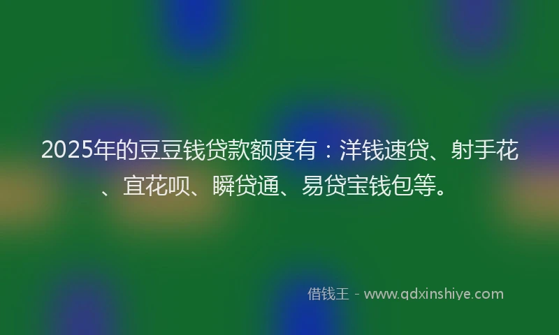 2025年的豆豆钱贷款额度有：洋钱速贷、射手花、宜花呗、瞬贷通、易贷宝钱包等。