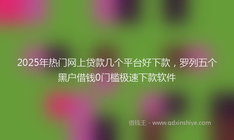 2025年热门网上贷款几个平台好下款，罗列五个黑户借钱0门槛极速下款软件