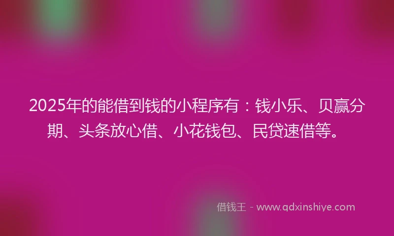 2025年的能借到钱的小程序有：钱小乐、贝赢分期、头条放心借、小花钱包、民贷速借等。
