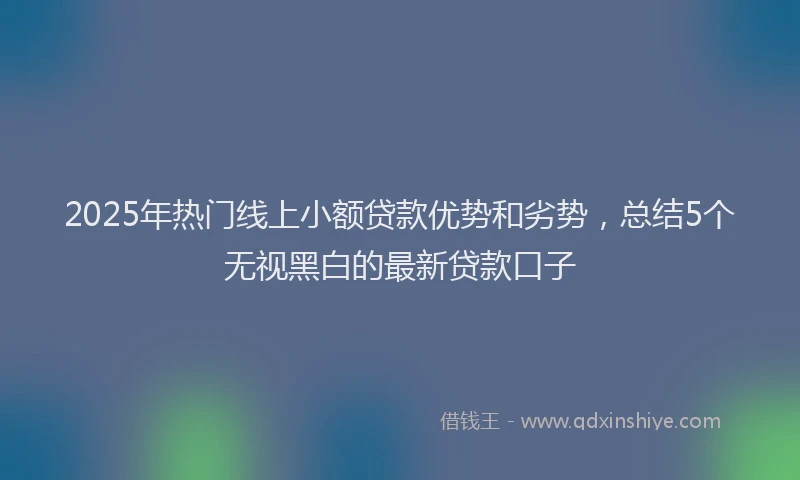 2025年热门线上小额贷款优势和劣势，总结5个无视黑白的最新贷款口子