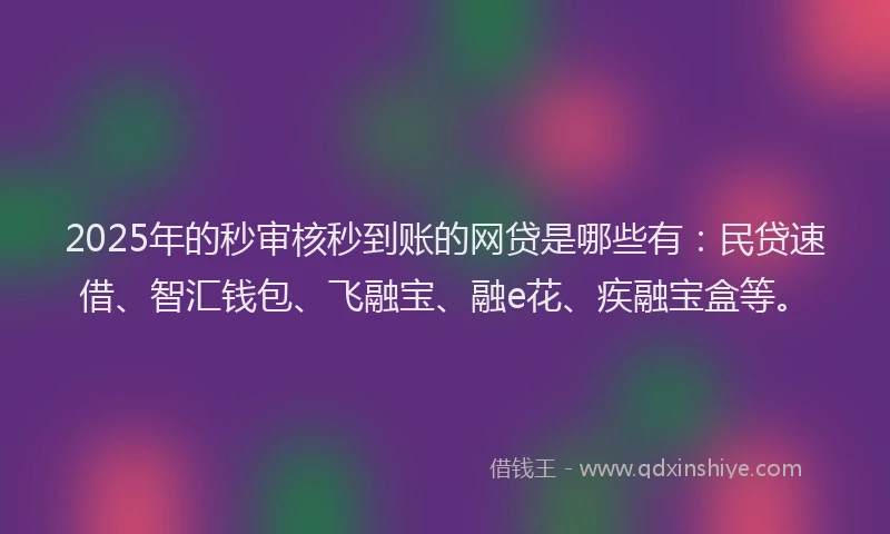 2025年的秒审核秒到账的网贷是哪些有：民贷速借、智汇钱包、飞融宝、融e花、疾融宝盒等。