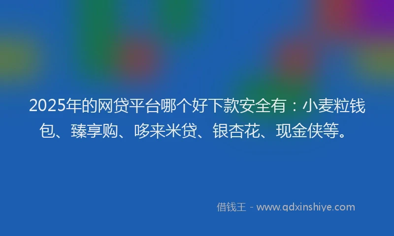 2025年的网贷平台哪个好下款安全有：小麦粒钱包、臻享购、哆来米贷、银杏花、现金侠等。