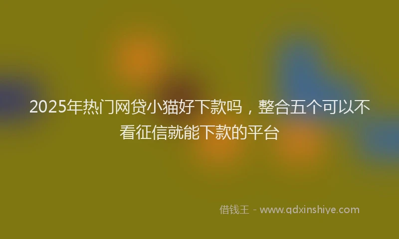 2025年热门网贷小猫好下款吗，整合五个可以不看征信就能下款的平台