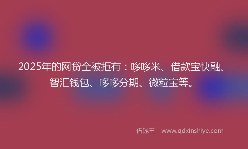 2025年的网贷全被拒有：哆哆米、借款宝快融、智汇钱包、哆哆分期、微粒宝等。