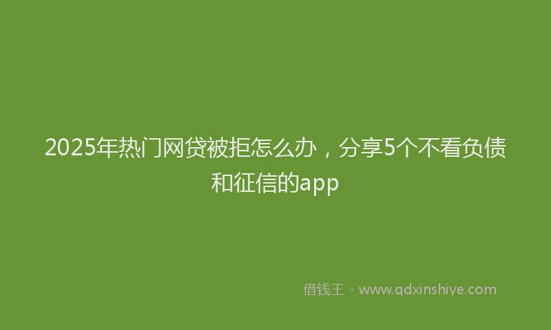 2025年热门网贷被拒怎么办，分享5个不看负债和征信的app