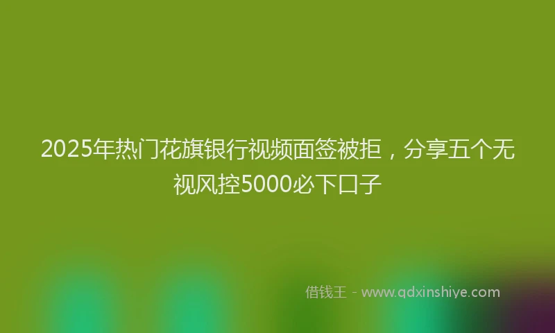 2025年热门花旗银行视频面签被拒，分享五个无视风控5000必下口子