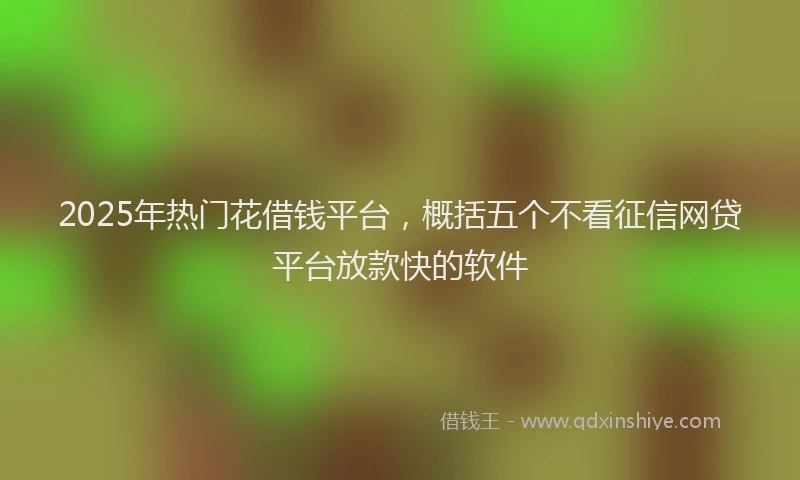 2025年热门花借钱平台，概括五个不看征信网贷平台放款快的软件