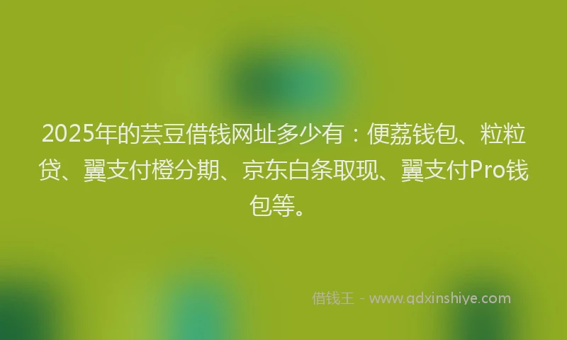 2025年的芸豆借钱网址多少有：便荔钱包、粒粒贷、翼支付橙分期、京东白条取现、翼支付Pro钱包等。