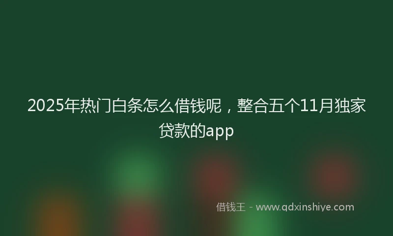 2025年热门白条怎么借钱呢，整合五个11月独家贷款的app