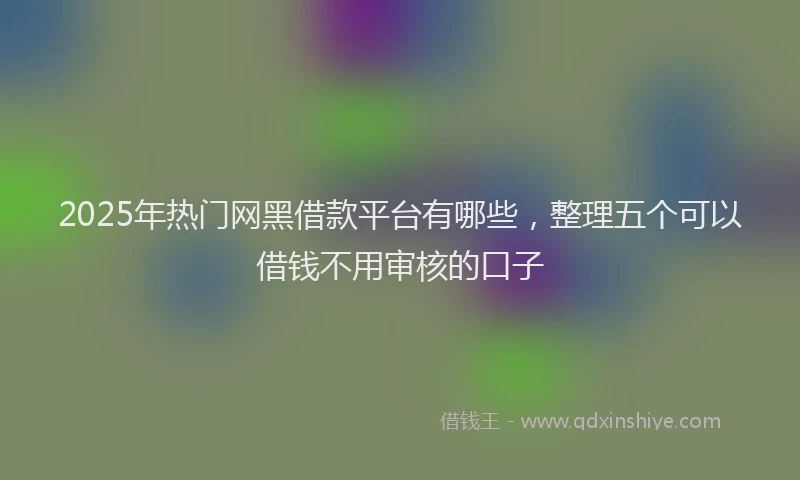2025年热门网黑借款平台有哪些，整理五个可以借钱不用审核的口子