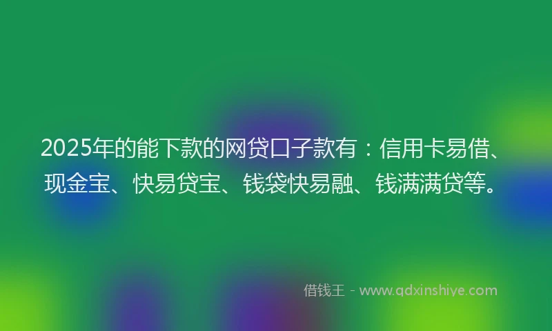 2025年的能下款的网贷口子款有：信用卡易借、现金宝、快易贷宝、钱袋快易融、钱满满贷等。