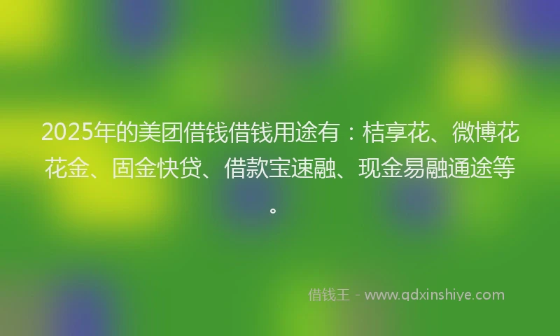 2025年的美团借钱借钱用途有：桔享花、微博花花金、固金快贷、借款宝速融、现金易融通途等。