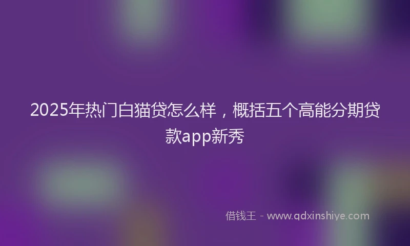 2025年热门白猫贷怎么样，概括五个高能分期贷款app新秀