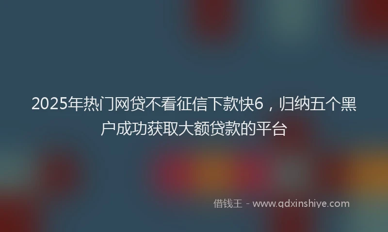 2025年热门网贷不看征信下款快6，归纳五个黑户成功获取大额贷款的平台