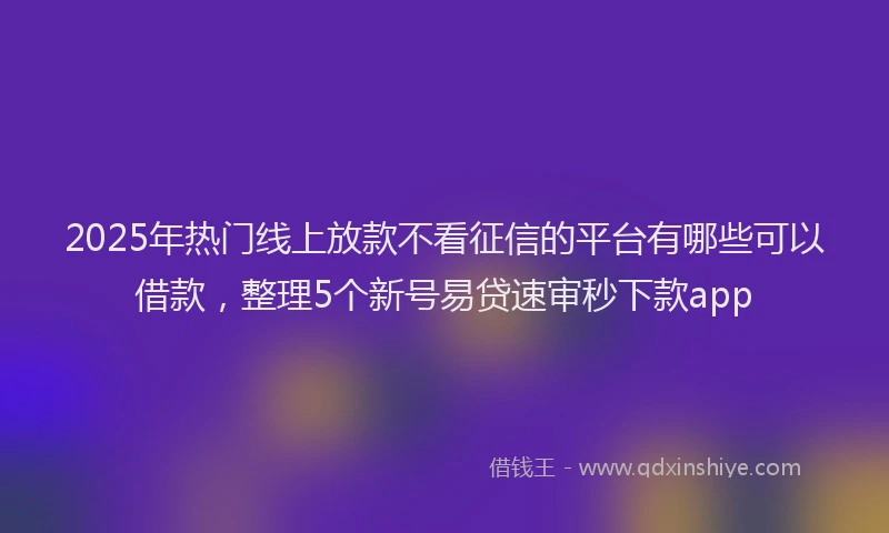 2025年热门线上放款不看征信的平台有哪些可以借款，整理5个新号易贷速审秒下款app