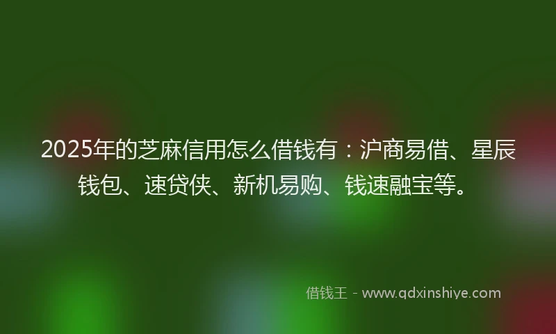 2025年的芝麻信用怎么借钱有：沪商易借、星辰钱包、速贷侠、新机易购、钱速融宝等。