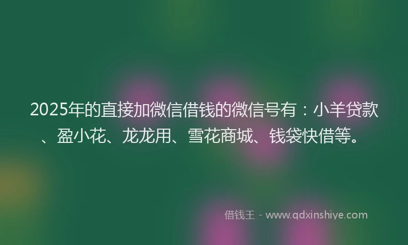 2025年的直接加微信借钱的微信号有：小羊贷款、盈小花、龙龙用、雪花商城、钱袋快借等。