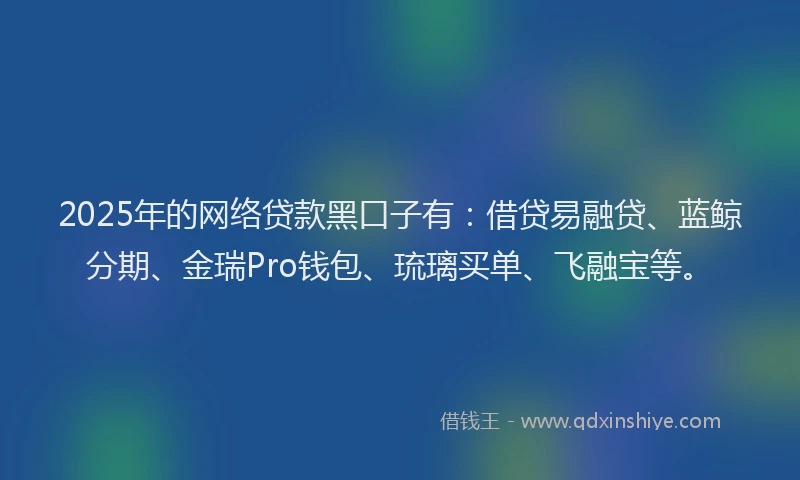 2025年的网络贷款黑口子有：借贷易融贷、蓝鲸分期、金瑞Pro钱包、琉璃买单、飞融宝等。