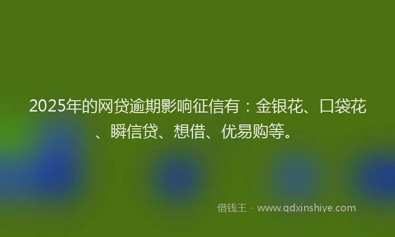 2025年的网贷逾期影响征信有：金银花、口袋花、瞬信贷、想借、优易购等。