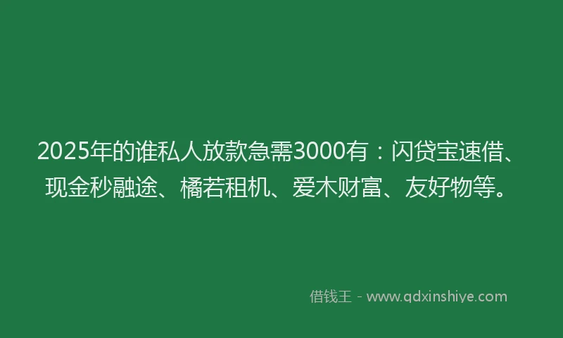 2025年的谁私人放款急需3000有：闪贷宝速借、现金秒融途、橘若租机、爱木财富、友好物等。