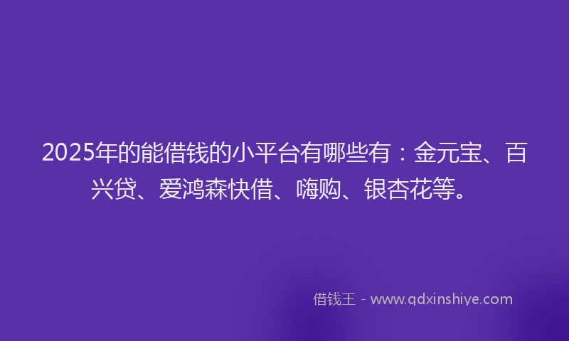 2025年的能借钱的小平台有哪些有：金元宝、百兴贷、爱鸿森快借、嗨购、银杏花等。