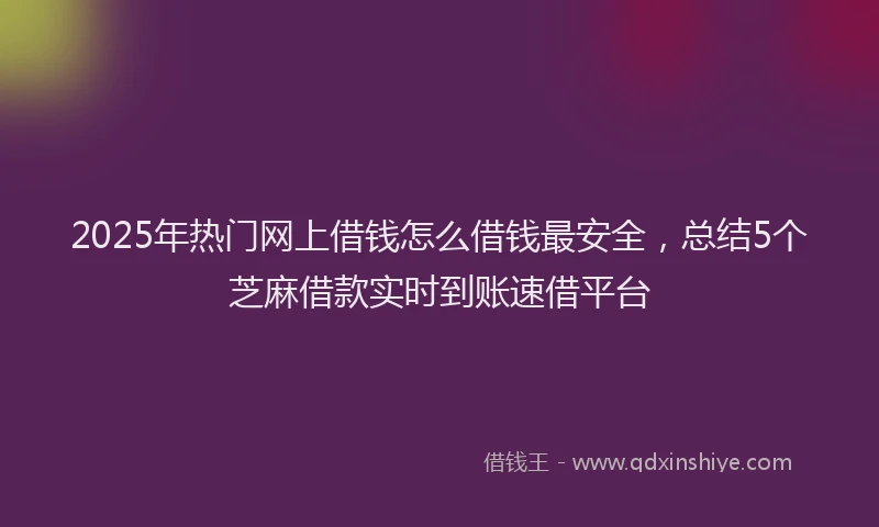 2025年热门网上借钱怎么借钱最安全，总结5个芝麻借款实时到账速借平台