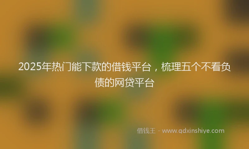 2025年热门能下款的借钱平台，梳理五个不看负债的网贷平台