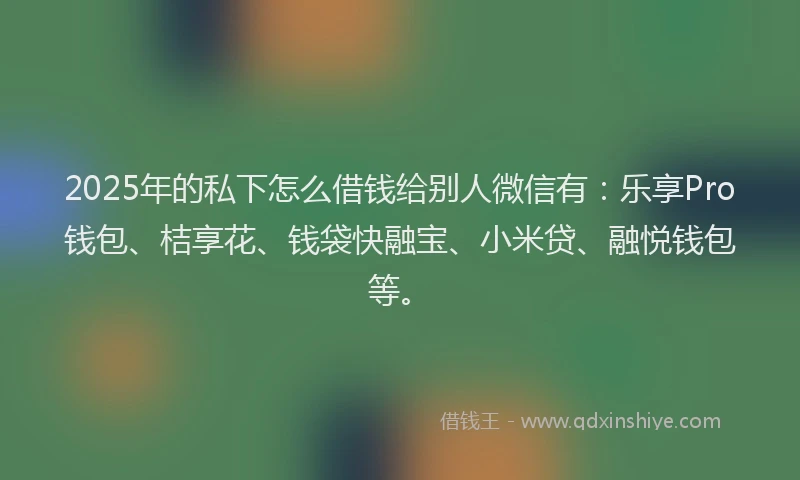 2025年的私下怎么借钱给别人微信有：乐享Pro钱包、桔享花、钱袋快融宝、小米贷、融悦钱包等。