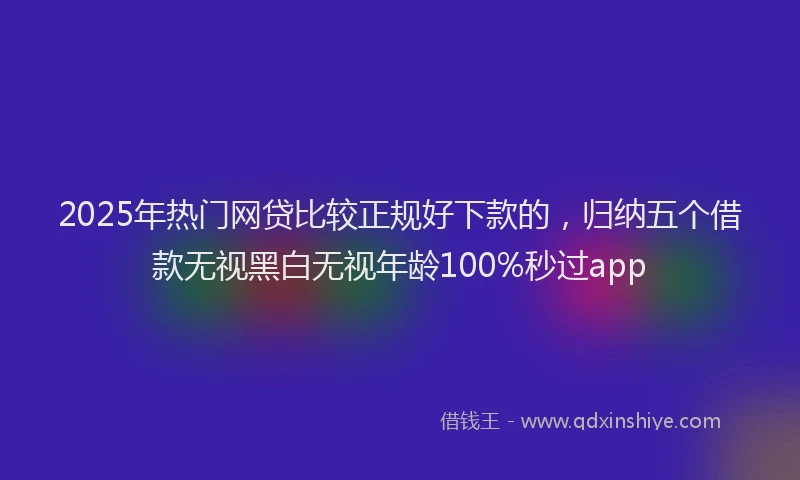 2025年热门网贷比较正规好下款的，归纳五个借款无视黑白无视年龄100%秒过app