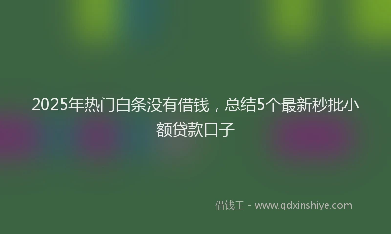 2025年热门白条没有借钱，总结5个最新秒批小额贷款口子