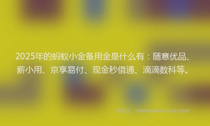 2025年的蚂蚁小金备用金是什么有：随意优品、薪小用、京享易付、现金秒借通、滴滴数科等。