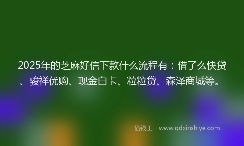 2025年的芝麻好信下款什么流程有：借了么快贷、骏祥优购、现金白卡、粒粒贷、森泽商城等。