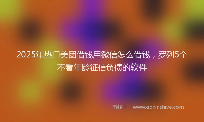 2025年热门美团借钱用微信怎么借钱，罗列5个不看年龄征信负债的软件