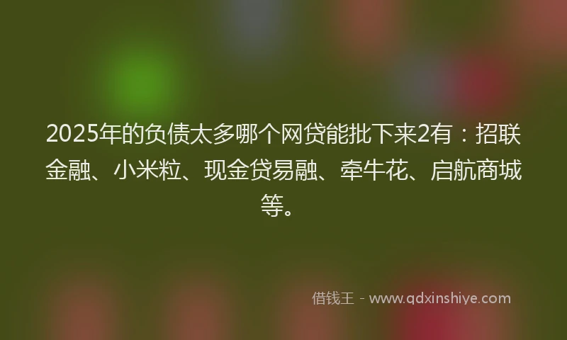 2025年的负债太多哪个网贷能批下来2有：招联金融、小米粒、现金贷易融、牵牛花、启航商城等。