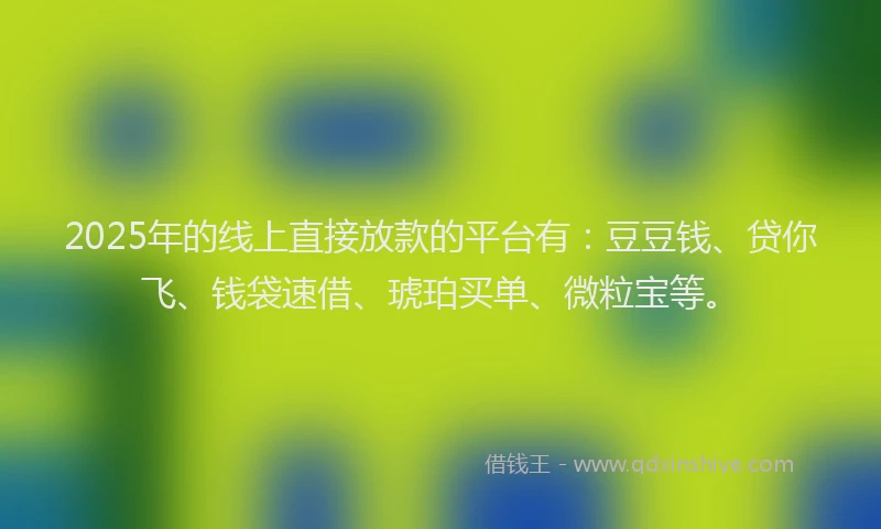 2025年的线上直接放款的平台有：豆豆钱、贷你飞、钱袋速借、琥珀买单、微粒宝等。