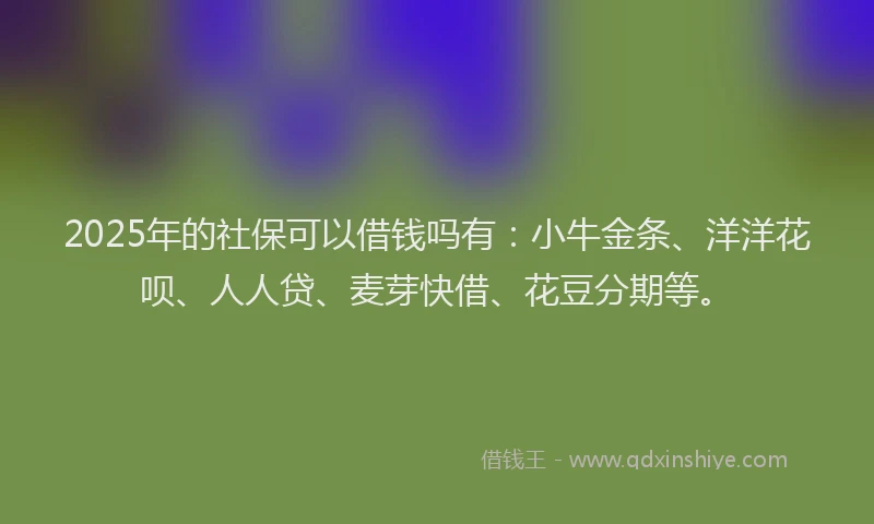 2025年的社保可以借钱吗有：小牛金条、洋洋花呗、人人贷、麦芽快借、花豆分期等。