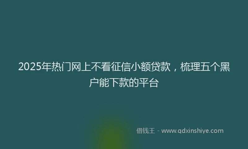 2025年热门网上不看征信小额贷款，梳理五个黑户能下款的平台