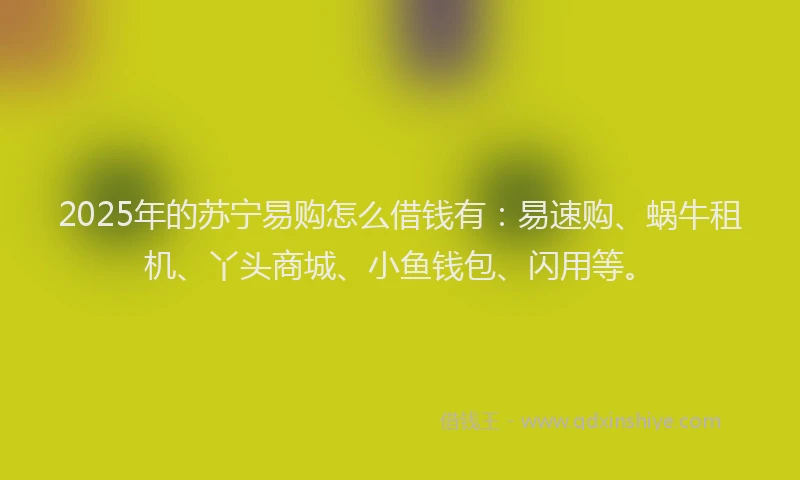 2025年的苏宁易购怎么借钱有：易速购、蜗牛租机、丫头商城、小鱼钱包、闪用等。