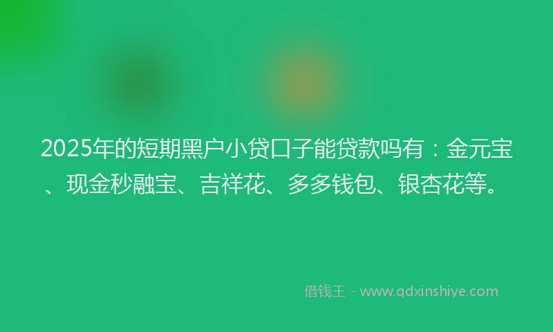 2025年的短期黑户小贷口子能贷款吗有：金元宝、现金秒融宝、吉祥花、多多钱包、银杏花等。
