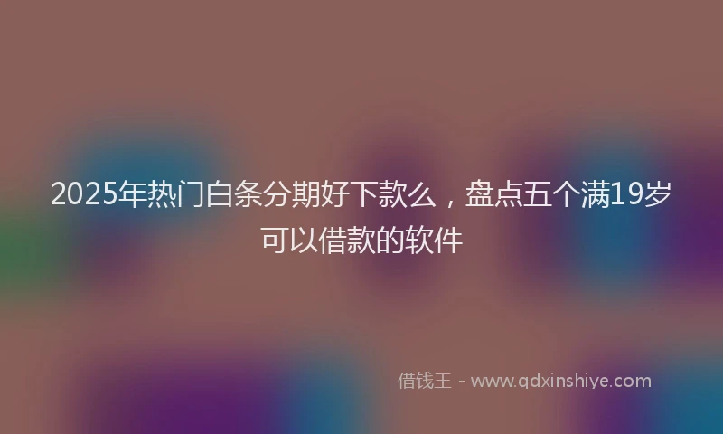 2025年热门白条分期好下款么，盘点五个满19岁可以借款的软件