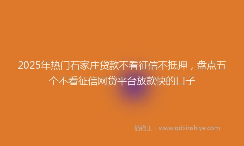 2025年热门石家庄贷款不看征信不抵押，盘点五个不看征信网贷平台放款快的口子