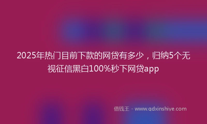 2025年热门目前下款的网贷有多少，归纳5个无视征信黑白100%秒下网贷app