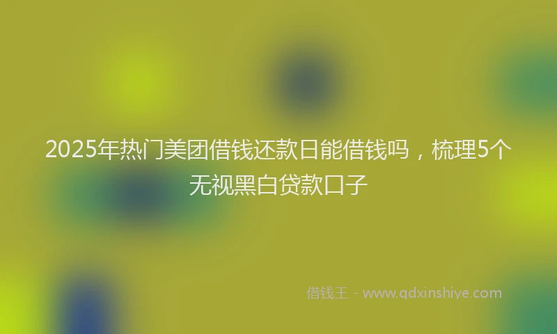 2025年热门美团借钱还款日能借钱吗，梳理5个无视黑白贷款口子
