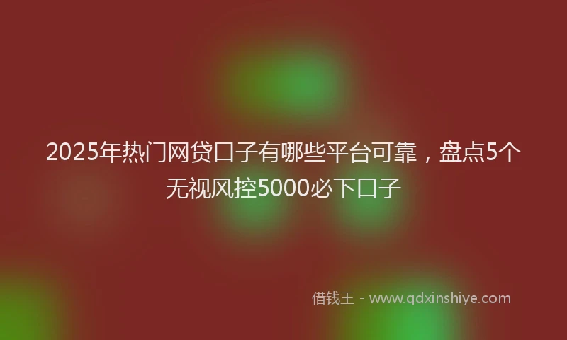 2025年热门网贷口子有哪些平台可靠，盘点5个无视风控5000必下口子