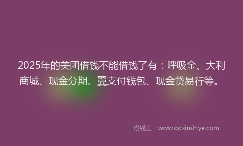 2025年的美团借钱不能借钱了有：呼吸金、大利商城、现金分期、翼支付钱包、现金贷易行等。