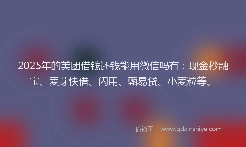 2025年的美团借钱还钱能用微信吗有：现金秒融宝、麦芽快借、闪用、甄易贷、小麦粒等。