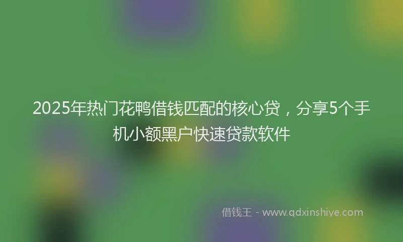 2025年热门花鸭借钱匹配的核心贷，分享5个手机小额黑户快速贷款软件